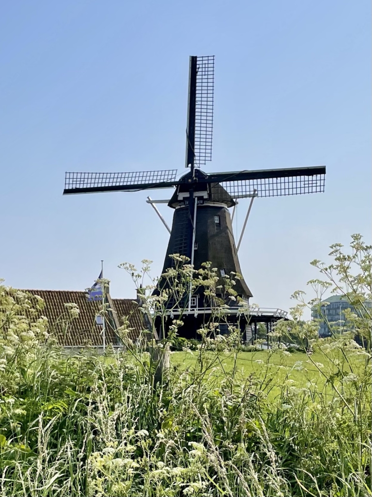 Windmühle