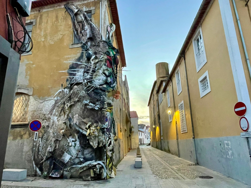 Portugal-Half-Rabbit-Porto