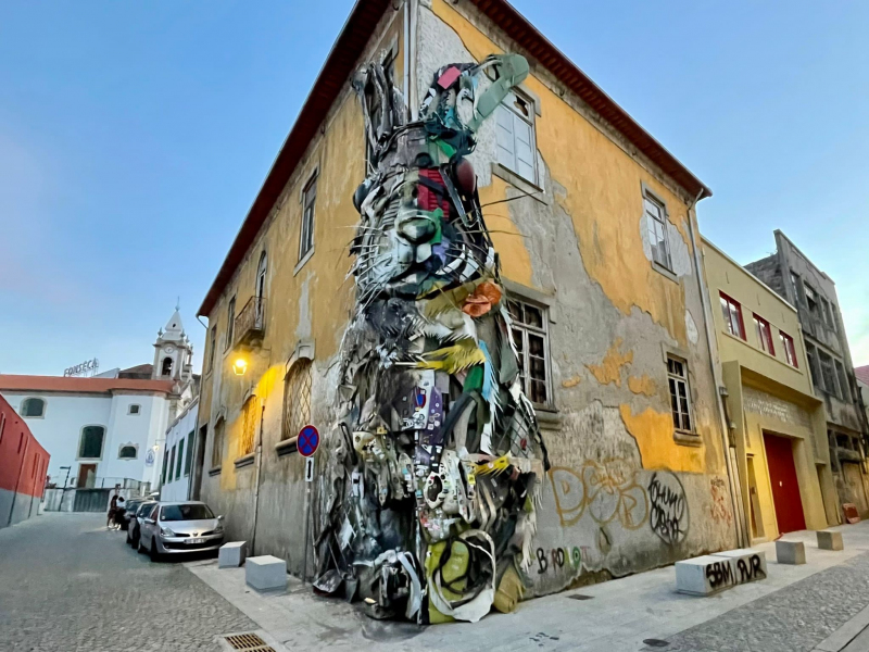 Portugal-Half-Rabbit-Porto