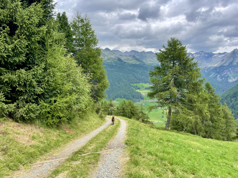 Ahrntal