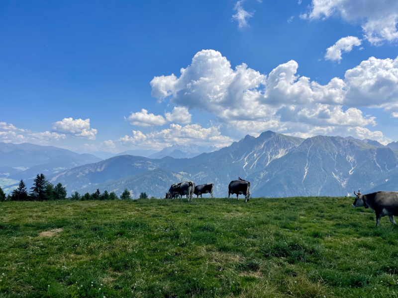 Kronplatz-Corones-Rundwanderweg