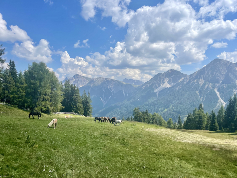 Kronplatz-Corones-Rundwanderweg