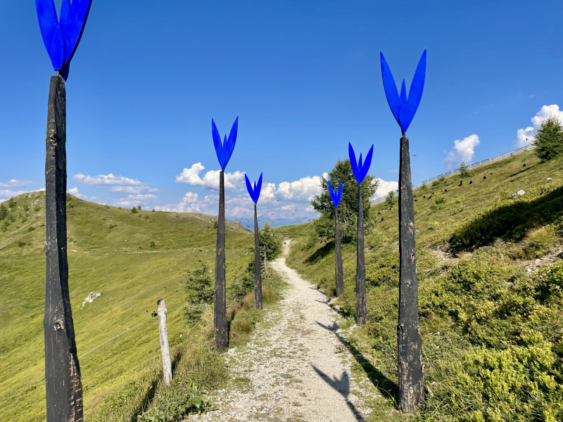 Kronplatz-Corones-Rundwanderweg