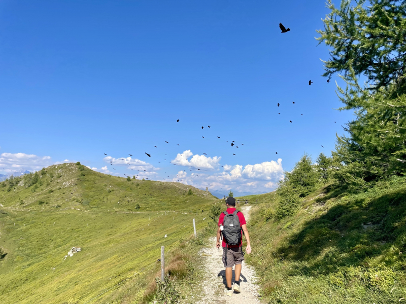 Kronplatz-Corones-Rundwanderweg