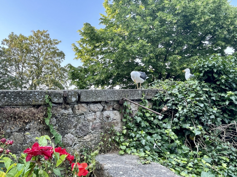 Weg-durch-die-Klosteranlage