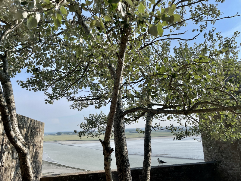 Mont-Saint-Michel-Aussicht