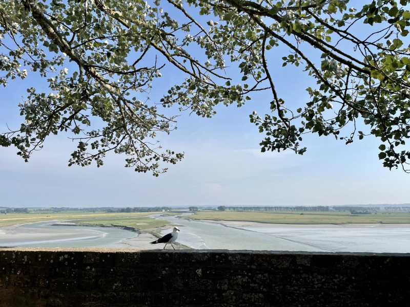 Mont-Saint-Michel-Aussicht