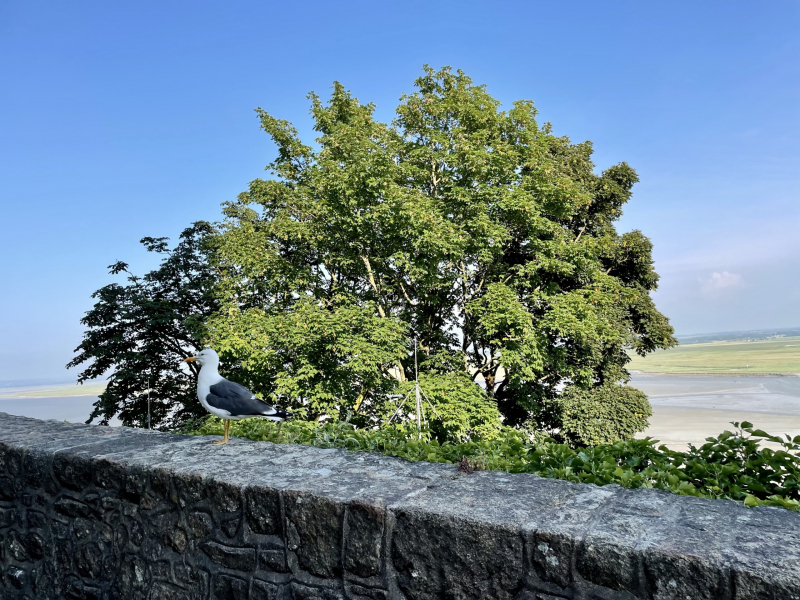 Aussicht