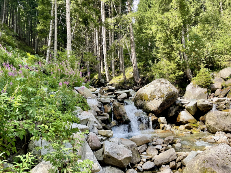 Wanderweg-zur-Bizathütte