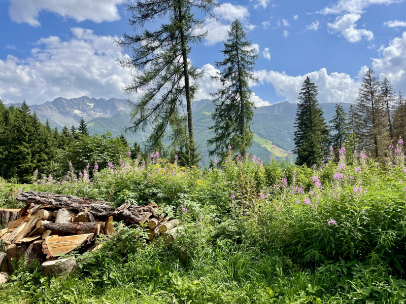 Wanderweg-zur-Bizathütte