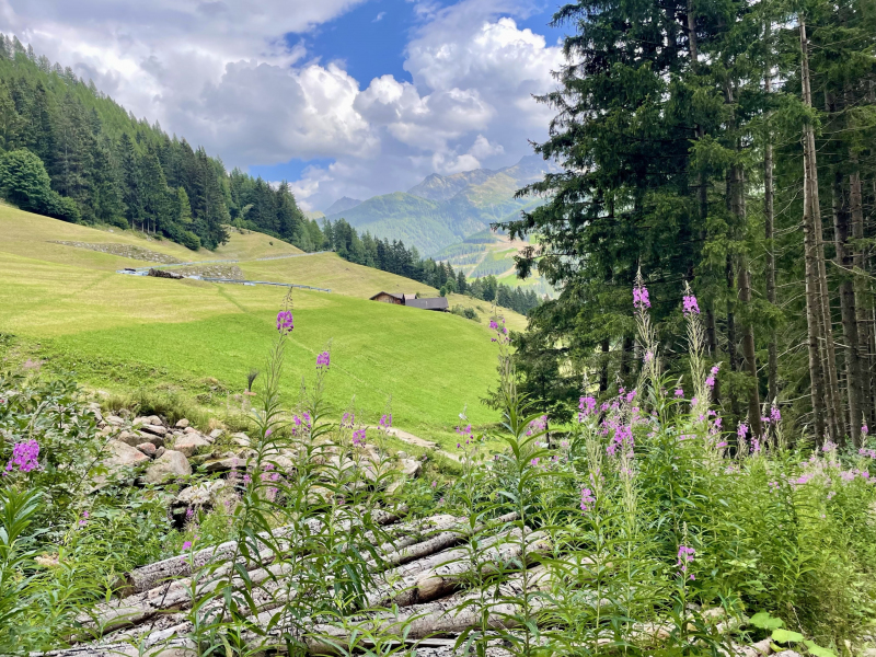 Ahrntal