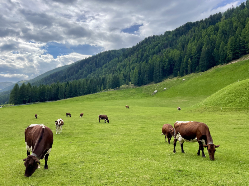 Kasern