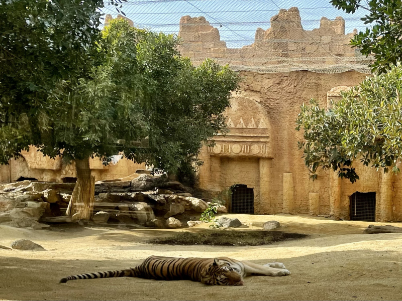 Tabernas-Zoo