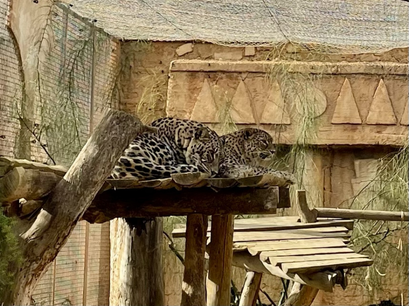 Tabernas-Zoo