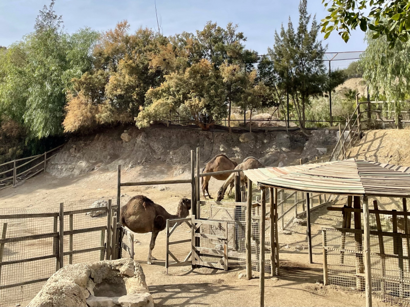 Tabernas-Zoo