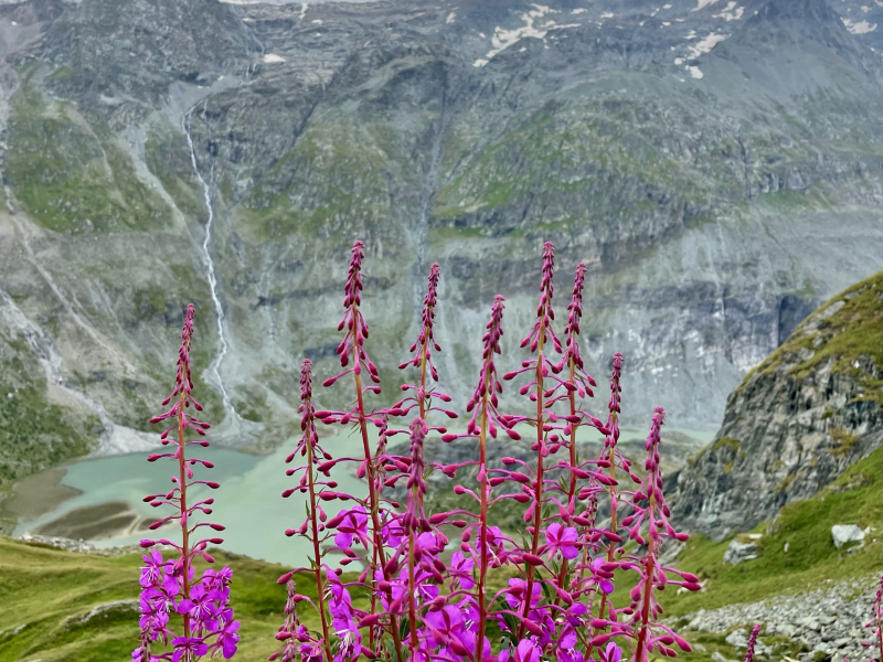 Grossglockner-Stausee