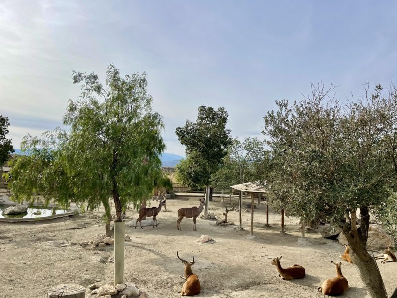 Tabernas-Zoo