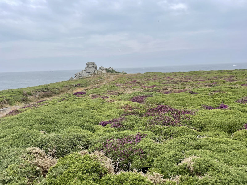 Nostalgische-Navigationshilfen- Heide-am-Meer