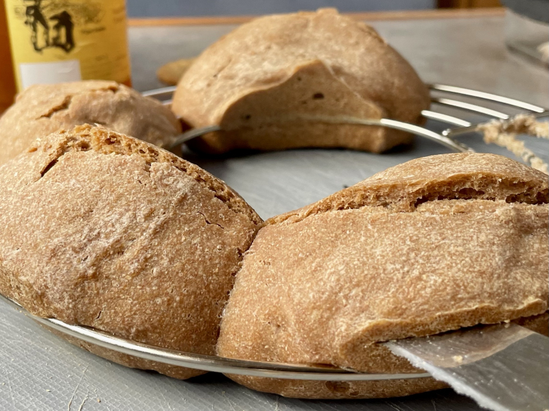 Frische-Brötchen