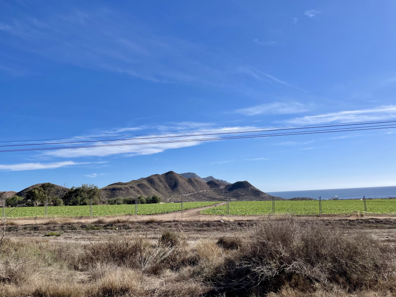 Murcia-Landschaft