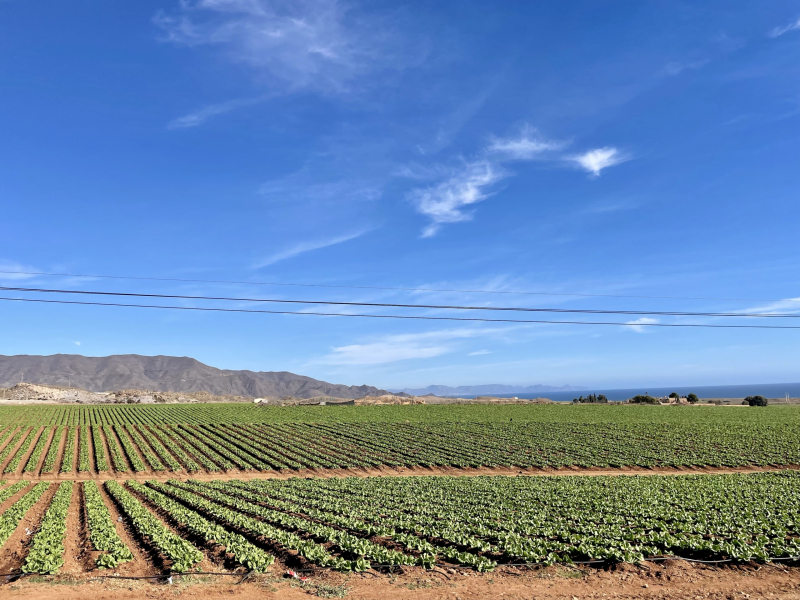 Murcia-Landschaft