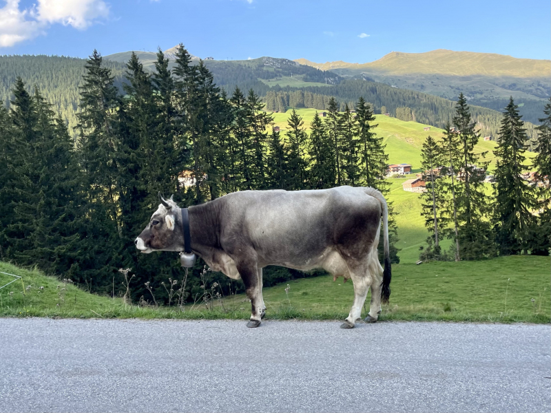 Wanderweg-Tux