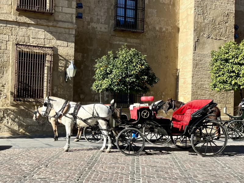 Córdoba-Kathedrale