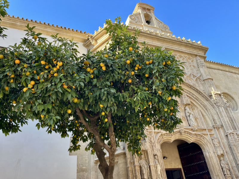 Kathedrale