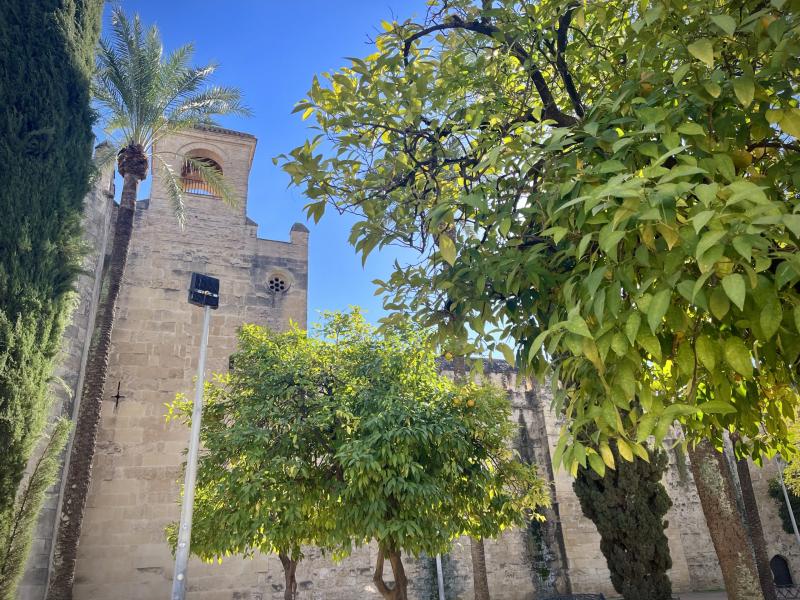 Córdoba-Kathedrale