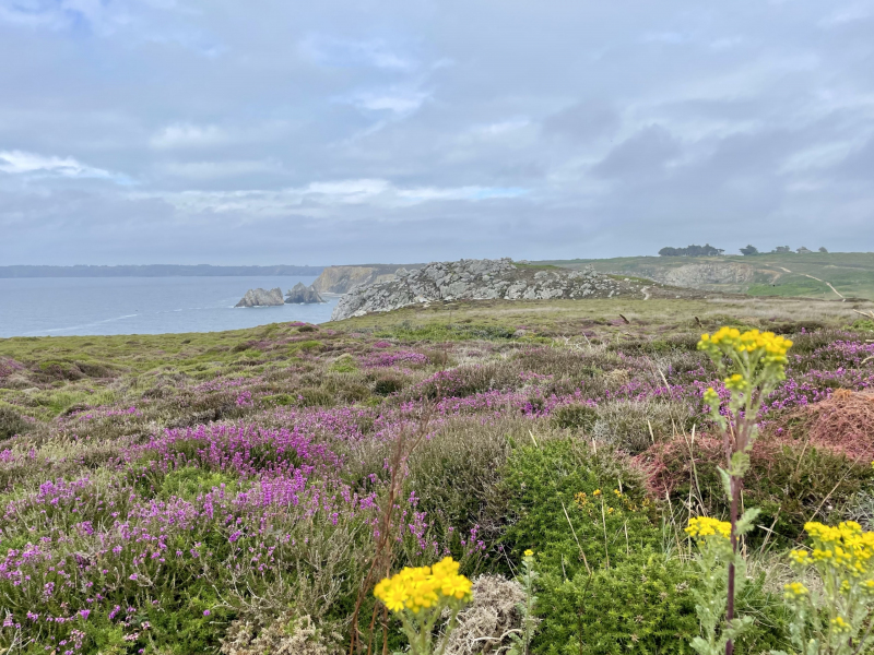 Halbinsel-Crozon-Aussicht