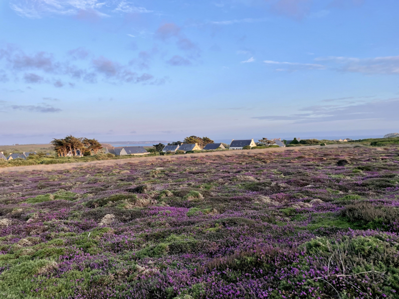 Aussicht-GR34-Heide