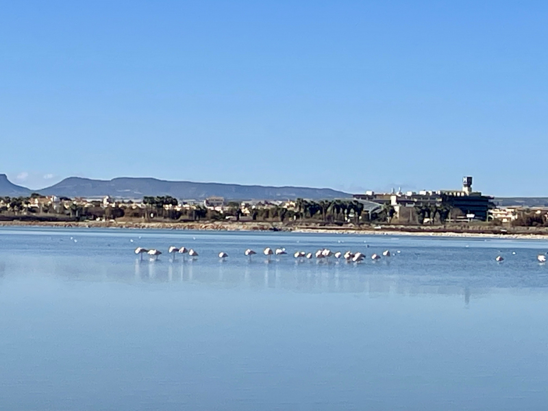 San-Pedro-del-Pinatar