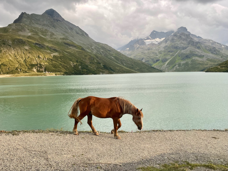 Tirol-Silvretta-Stausee