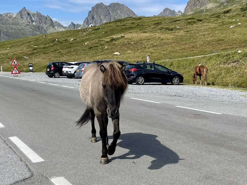 Tirol-Silvretta-Rundwanderweg