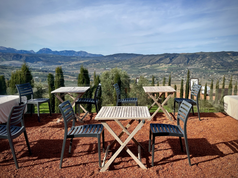 Ronda-Olivenplantage-LA-Organic