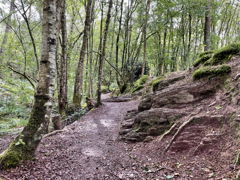 Brocéliande-Wald