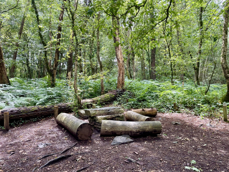 Brocéliande-Zauberwald