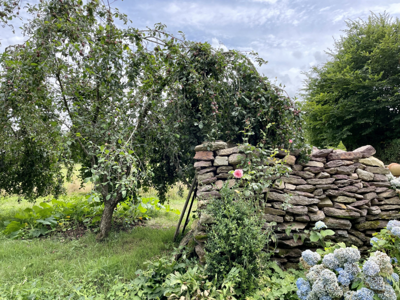 Brocéliande-Mauer