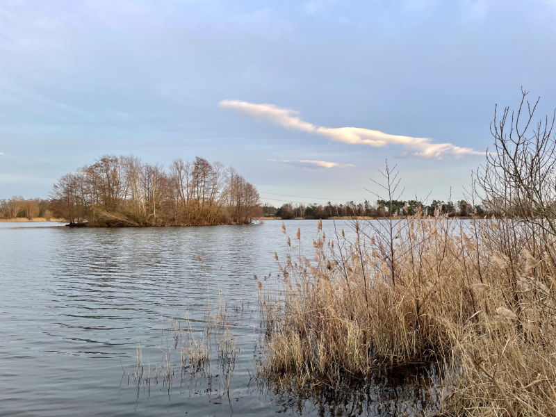 Kiesgrube-Baggersee