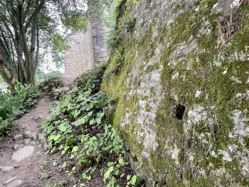 Brocéliande-Mauer
