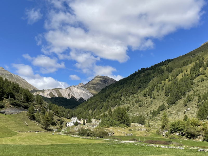 Alpenwunder-La-Rösa