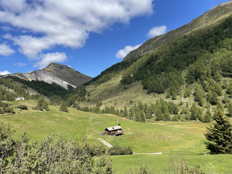 Alpenpanorama-Ospizio-Bernina