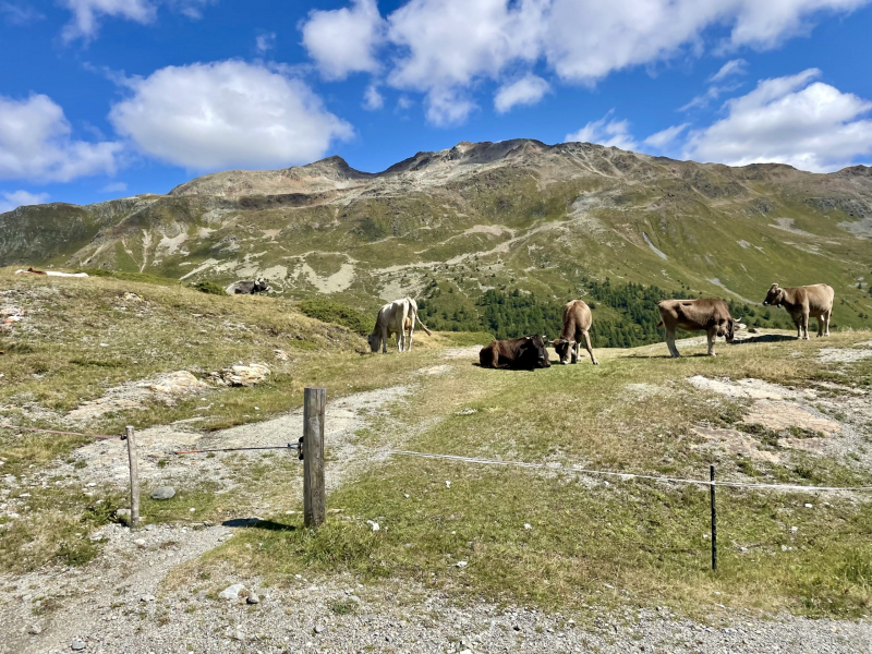 Berninapass