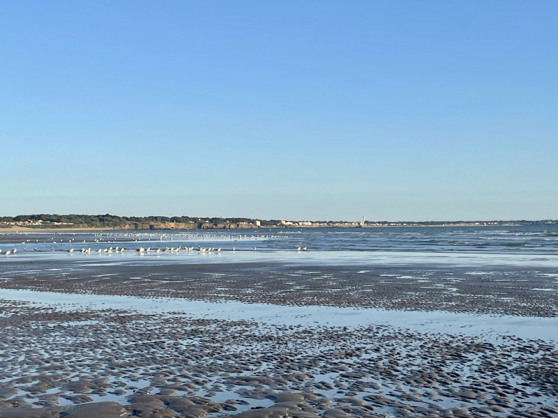 Spaziergang-am-Strand