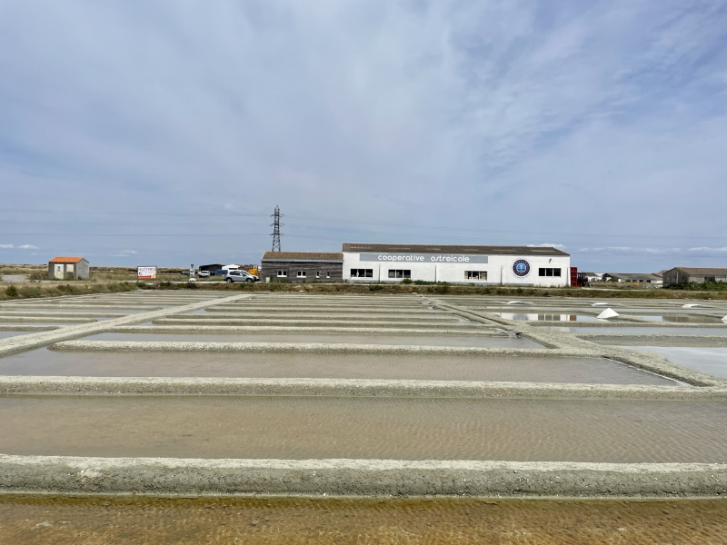 Pays-de-la-Loire-Saline