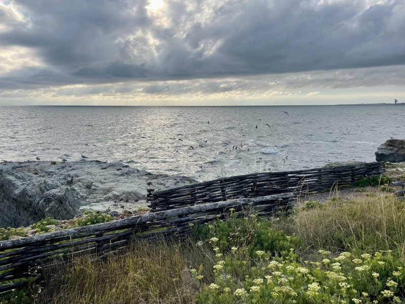 Küstenaussicht-Blick-aufs-Wasser