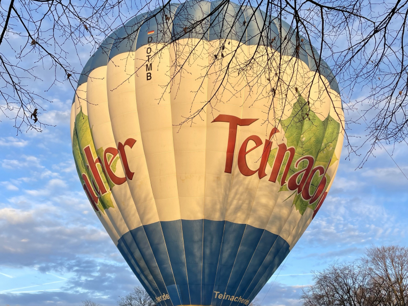 Ludwigsburg-Ballonblühen