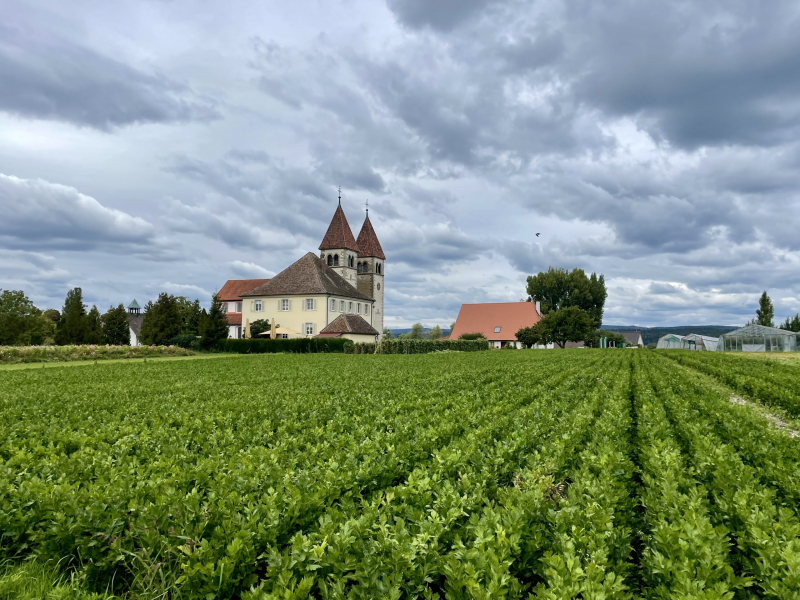 Herbstanfang-Insel-Reichenau
