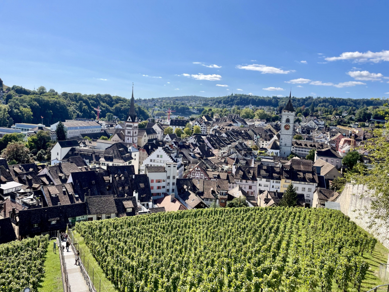 Ausblick-von-der-Munot-Burg