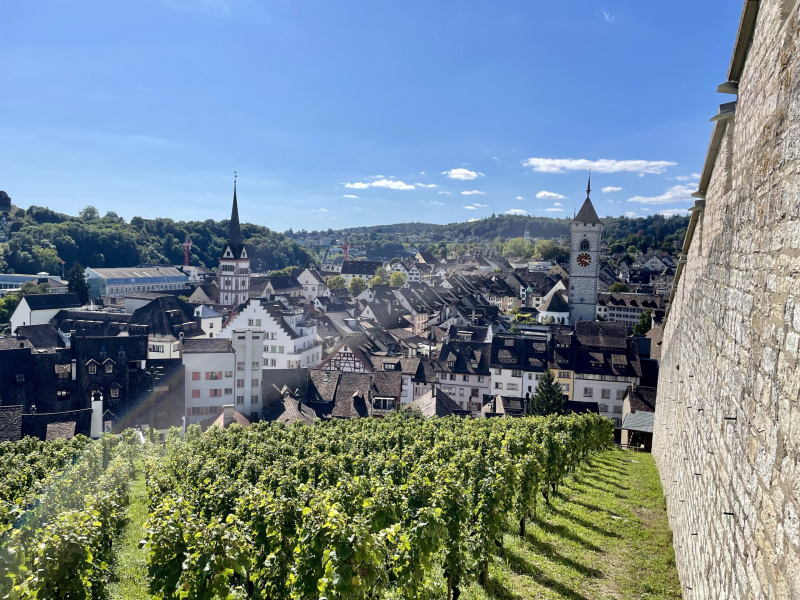 Ausblick-von-der-Munot-Burg
